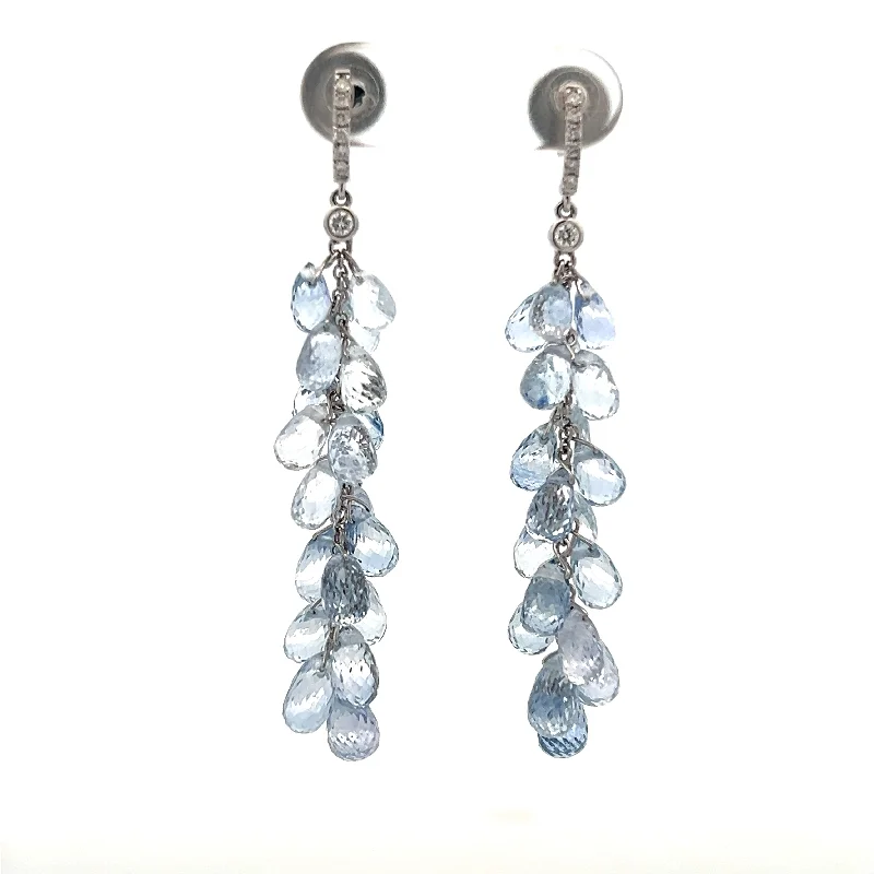 Ladies pearl drop earrings-18K White Gold 30.68ctw Briolette Blue Sapphire & Diamond Drop Earrings